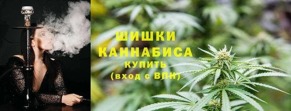СК Алзамай