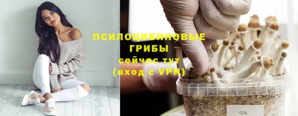 не бодяженный Алексин