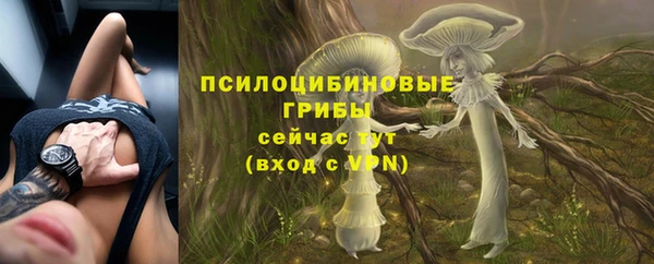 не бодяженный Алексин