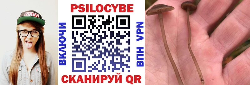 Псилоцибиновые грибы MAGIC MUSHROOMS  площадка официальный сайт  Бологое 