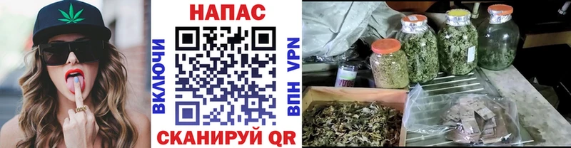 blacksprut вход  Бологое  Бошки марихуана марихуана  где продают  